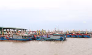 Ứng phó bão số 1: Nam Định cấm các hoạt động vui chơi trên biển từ 12 giờ ngày 17/7