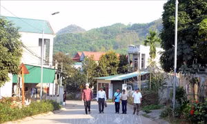 Đảng viên đi đầu trong hiến đất làm đường xây dựng nông thôn mới