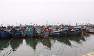 Thừa Thiên - Huế: Cấm biển từ chiều 14/7 để ứng phó áp thấp nhiệt đới