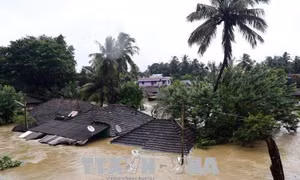 Hơn 1 triệu người phải lánh nạn do mưa lũ ở Tây Nam Ấn Độ
