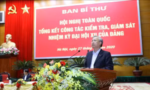 Tăng cường kiểm tra các tổ chức đảng, đảng viên ở cấp huyện và cơ sở khi có dấu hiệu vi phạm