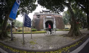 Đẹp mơ màng 'con đường lãng mạn' nhất Hà Nội vào mùa sấu thay lá