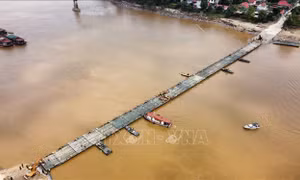 Hợp long cầu phao Phong Châu