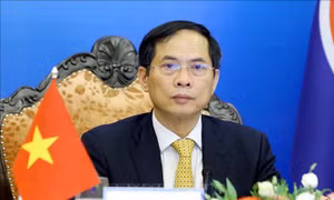 Nhìn lại năm 2021: Ngoại giao Việt Nam vì sự nghiệp bảo vệ và phát triển đất nước 