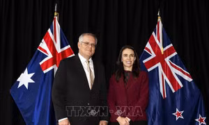 Australia, New Zealand lên kế hoạch mở thêm các hành lang đi lại giữa các quốc gia