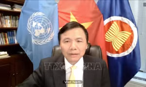  Việt Nam ủng hộ điều tra và truy cứu trách nhiệm của IS