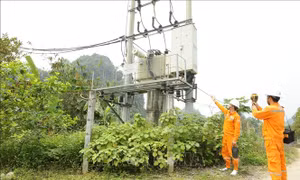 Nhiều giải pháp phòng, chống cháy rừng tại quần thể di tích Chùa Hương