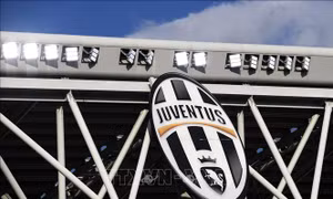 Liên đoàn bóng đá Italy gửi 'tối hậu thư' cho Juventus 