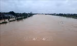 Cảnh bão lũ, sạt lở đất tại Quảng Trị