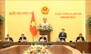 Cho ý kiến về nhiều chính sách, quy định mới về tổ chức, hoạt động của Tòa án