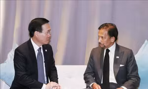 Chủ tịch nước Võ Văn Thưởng gặp Quốc vương Brunei nhân dịp dự Tuần lễ Cấp cao APEC 2023