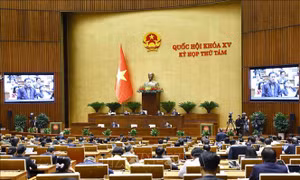 Làm rõ khái niệm cơ sở thường trú của doanh nghiệp nước ngoài cung cấp hàng hóa tại Việt Nam