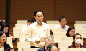 Thực hành tiết kiệm, chống lãng phí phải gắn bó chặt chẽ với đấu tranh phòng, chống tham nhũng, tiêu cực