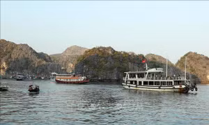 Cát Bà - Một diện mạo mới, tươi đẹp và mạnh mẽ hơn