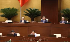 Quốc hội thảo luận một số nội dung còn ý kiến khác nhau của dự án Luật Điện ảnh (sửa đổi)