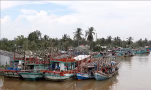 Quảng Ninh đã gỡ được 5/7 cảnh báo 'thẻ vàng' IUU