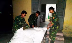 Nhập lậu 600 kg đường cát qua biên giới