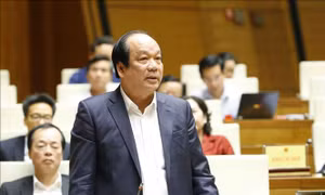 Bộ trưởng Mai Tiến Dũng: Loại tình trạng có tên người chết trong danh sách cử tri