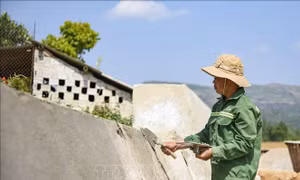 Ứng phó với những tác động của sóng nhiệt 