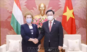 Chủ tịch Quốc hội Vương Đình Huệ tiếp Phó Chủ tịch thứ nhất Quốc hội Hungary