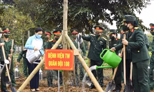 Lễ phát động trồng cây chào mừng thành công Đại hội đại biểu Phụ nữ 2022
