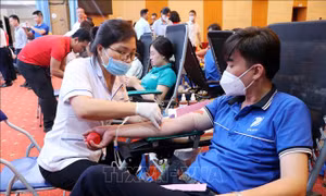 Ngày hội hiến máu 'Giọt hồng xứ Tuyên'