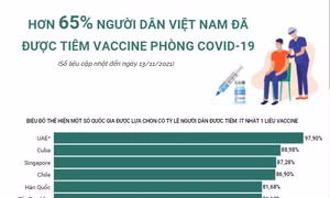 Hơn 65% người dân Việt Nam đã được tiêm vaccine phòng COVID-19