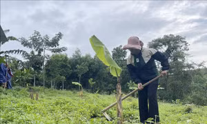 Tháo gỡ bất cập trong bố trí việc làm cho người học cử tuyển tại Quảng Trị