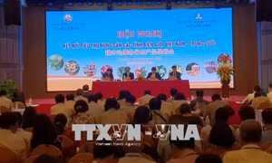 Kết nối tiêu thụ nông sản các tỉnh biên giới Việt Nam – Trung Quốc