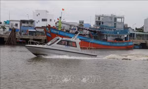 Khai thác tàu biển khi chưa được cấp giấy chứng nhận đăng ký bị phạt tới 30 triệu đồng