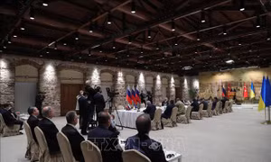 Ukraine tuyên bố sẽ tiếp tục đàm phán trực tuyến với Nga