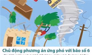 Chủ động phương án ứng phó với bão số 6