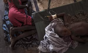 WHO cảnh báo về làn sóng dịch tả mới ở Sudan