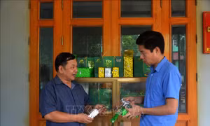 Xây dựng thương hiệu, mở rộng thị trường cho chè VietGAP