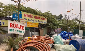 Báo động thực trạng 'nhấn chìm' sự sống từ rác thải nhựa