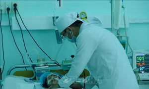 Chủ động phòng, chống dịch bệnh mùa đông xuân năm 2019-2020