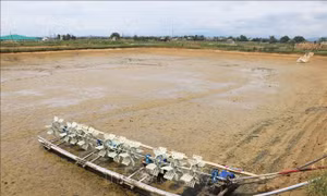Quảng Trị cần sớm hỗ trợ người nuôi tôm bị thiệt hại nặng