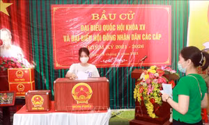 Bầu cử QH và HĐND: 18 đơn vị bầu cử tại Nam Định tổ chức bầu cử thêm