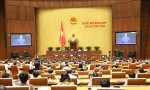 Kỳ họp thứ 8, Quốc hội khóa XIV: Xây dựng đội ngũ cán bộ, công chức, viên chức đủ năng lực thực thi công vụ