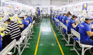 Bình Dương: Nhu cầu tuyển dụng khoảng 50.000 lao động