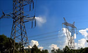 Công bố Top 500 doanh nghiệp lớn nhất Việt Nam năm 2021