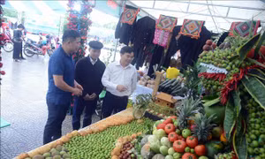 Mường La (Sơn La) hướng tới nông nghiệp bền vững