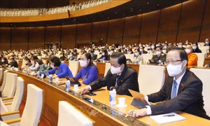 Kỳ họp thứ 2, Quốc hội khóa XV: Phân bổ hợp lý, tiết kiệm, hiệu quả nguồn lực đất đai 
