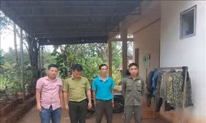 Bàn giao nhiều cá thể động vật hoang dã cho Vườn Quốc gia Bù Gia Mập
