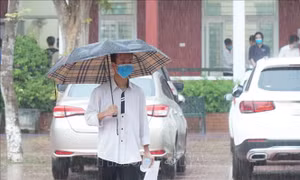  'Cơn mưa vàng' làm hạ nhiệt trường thi xứ Nghệ 