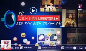 Ảo tưởng quyền lực mạng - Nhìn từ vụ 'chiến thần' Hà Linh