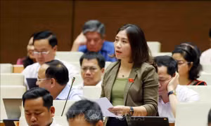 Kiểm soát mất cân bằng giới tính khi sinh và tốc độ già hóa dân số