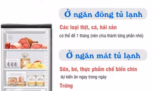 Ba cách bảo quản thực phẩm an toàn