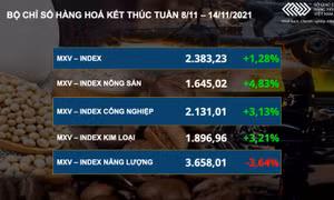 Bản tin MXV tuần 8 - 14/11: Thị trường bùng nổ sắc xanh, dầu thô và quặng sắt 'ngược dòng'