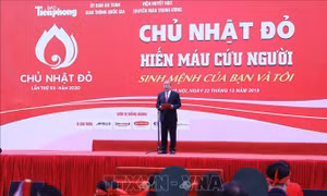 Khai mạc Ngày hội chính Chủ nhật Đỏ lần thứ XII - năm 2020